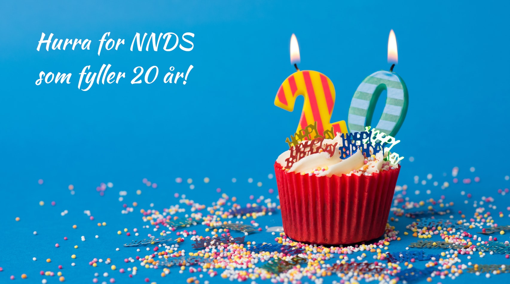 Kake med lys til 20 års feiring av NNDS