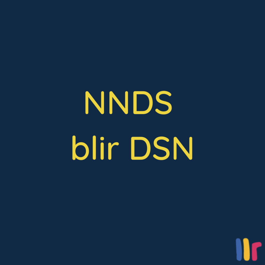 NNDS blir DSN