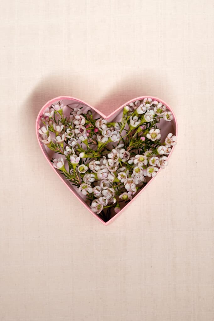 blomster i en hjerteformet boks