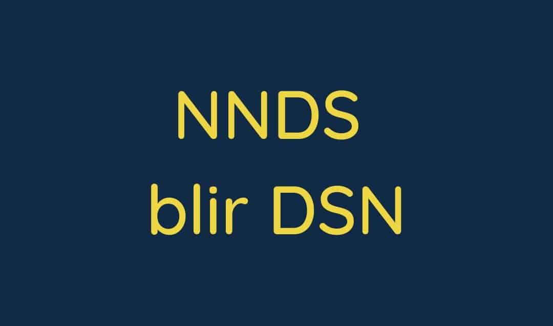 NNDS blir til DSN