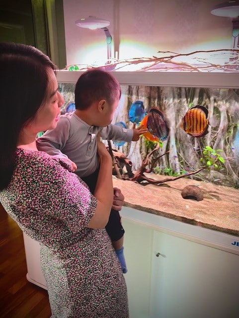 Mamma som holdet et barn på armen mens de ser på fisker i et akvarium