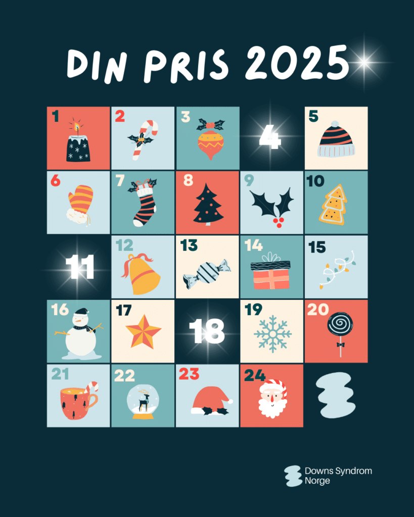 Julekalenderen "Din pris 2025"