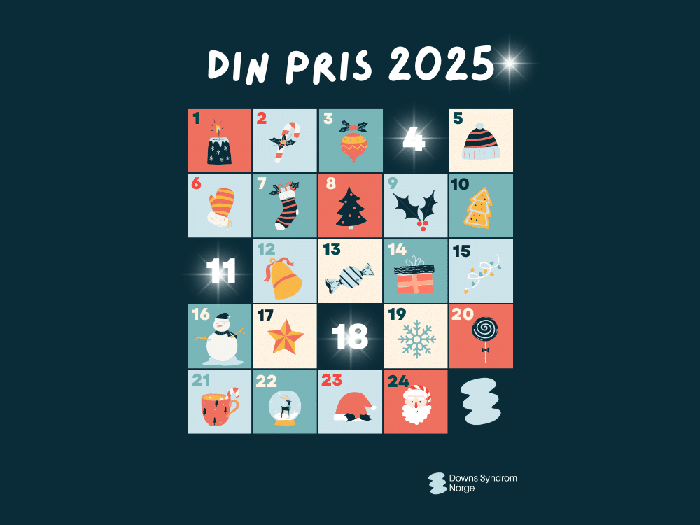 Julekalenderen "Din pris 2025"