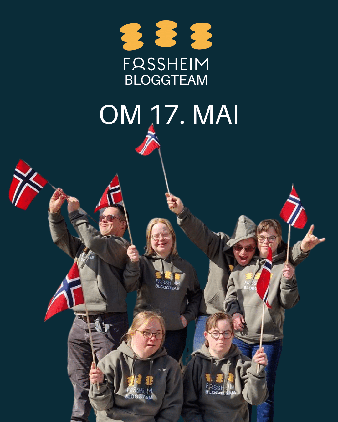 Gruppebilde av bloggteamet som består av fire kvinner og to menn med Downs syndrom. Alle har norsk flagg.
